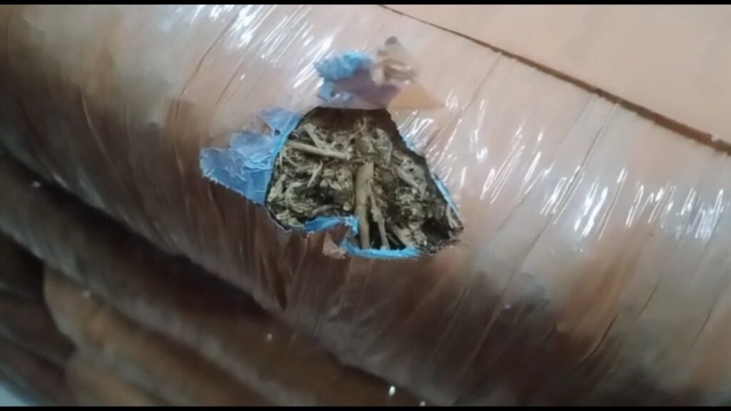 This time 110 kg of cannabis was recovered from a house in Jalpaiguri town