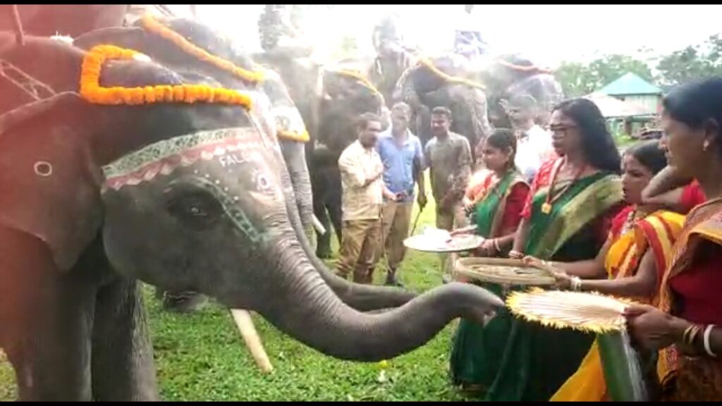 The forest workers of Garumara National Park worshiped the elephants