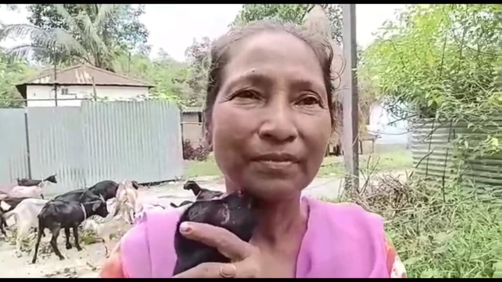 Sheela Roy of Rajganj is living with 55 goats