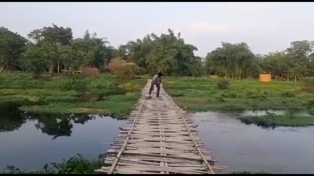 Even today the residents of Nazirpara and Saradapalli in Jalpaiguri travel on bamboo belts.
