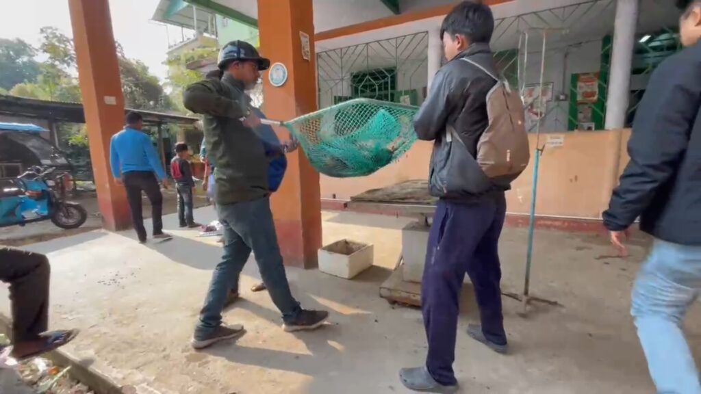 Two volunteer organizations in Jalpaiguri rescued the injured fox