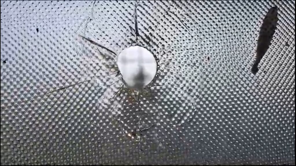 Air Force personnel detained with firearms in Barrackpore after firing at window of police personnel's flat