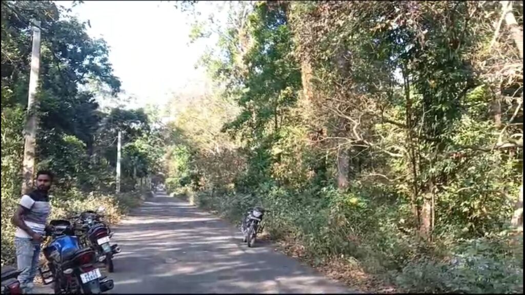 Suddenly the elephant attacked two cyclists on vegetable traders; 1 dead, 1 injured