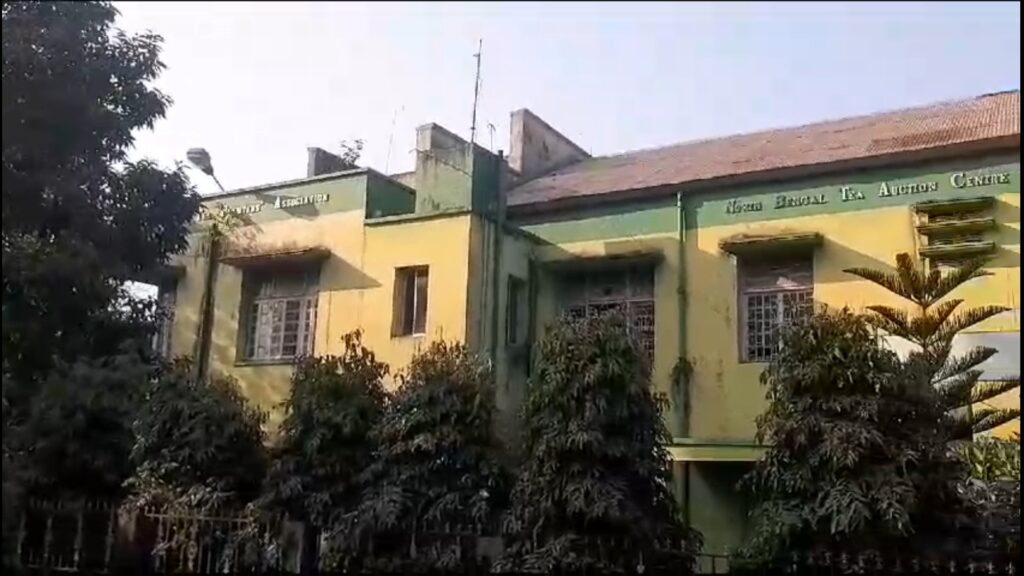 It is reported that the Tea Board is going to decide on fixing the last day for picking green tea leaves