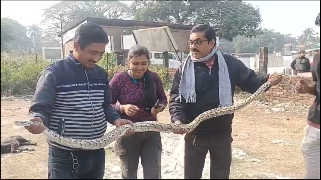 Huge rock python rescued from Jalpaiguri