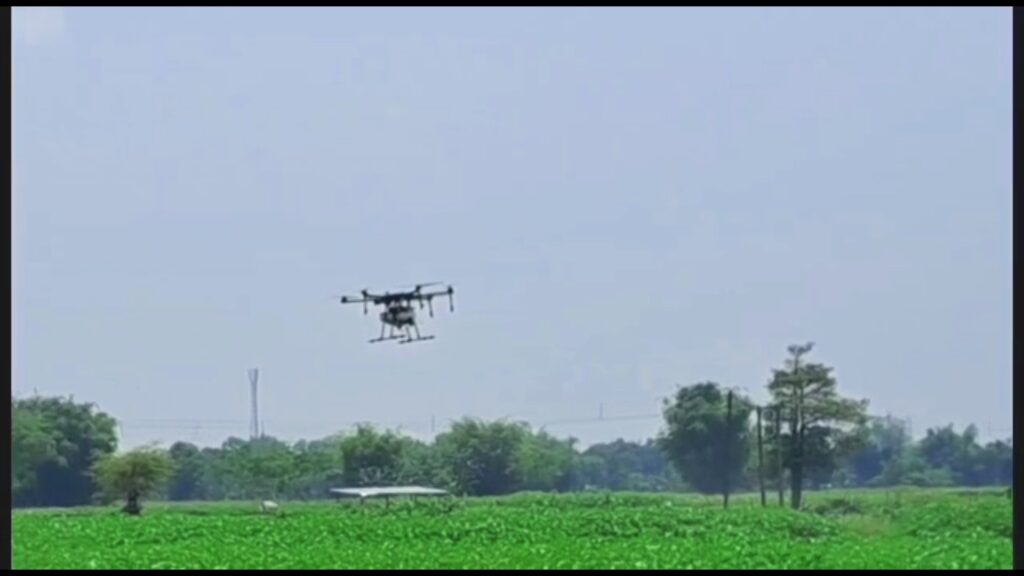 Insecticide spraying on agricultural land by drone in Jalpaiguri
