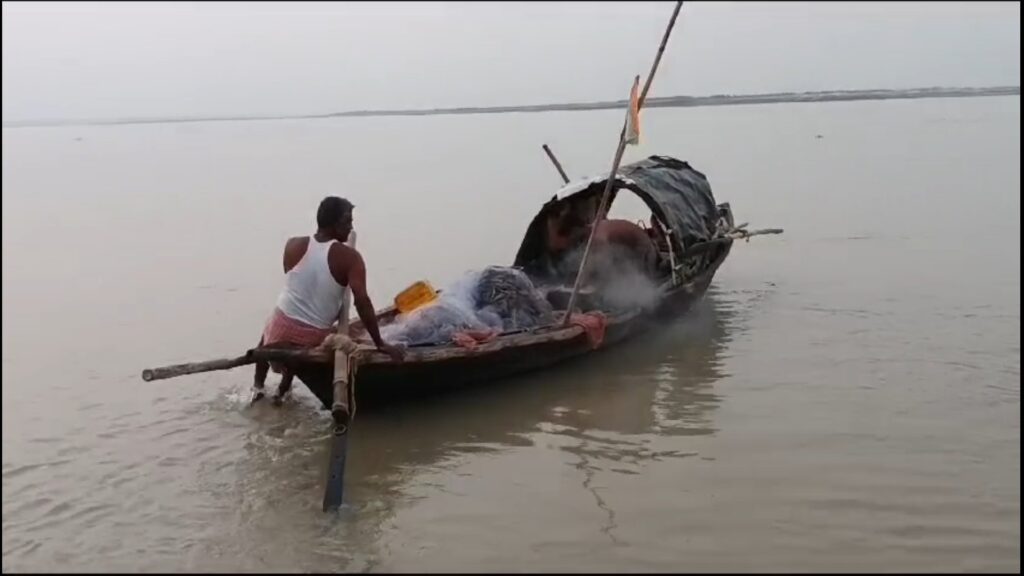 The large catla is rising in the hilsa net; Crowds of people flock to the banks of the Ganges to see the fish