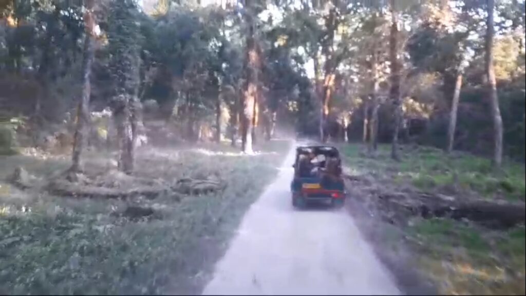 Opportunities for new experiences for tourists; Special initiative of DFO in Garumara National Park