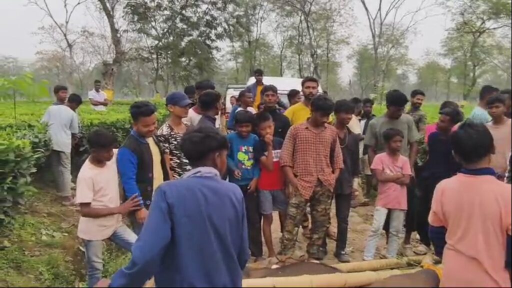 Mysterious death of bison in Dooars; Forest Department investigating