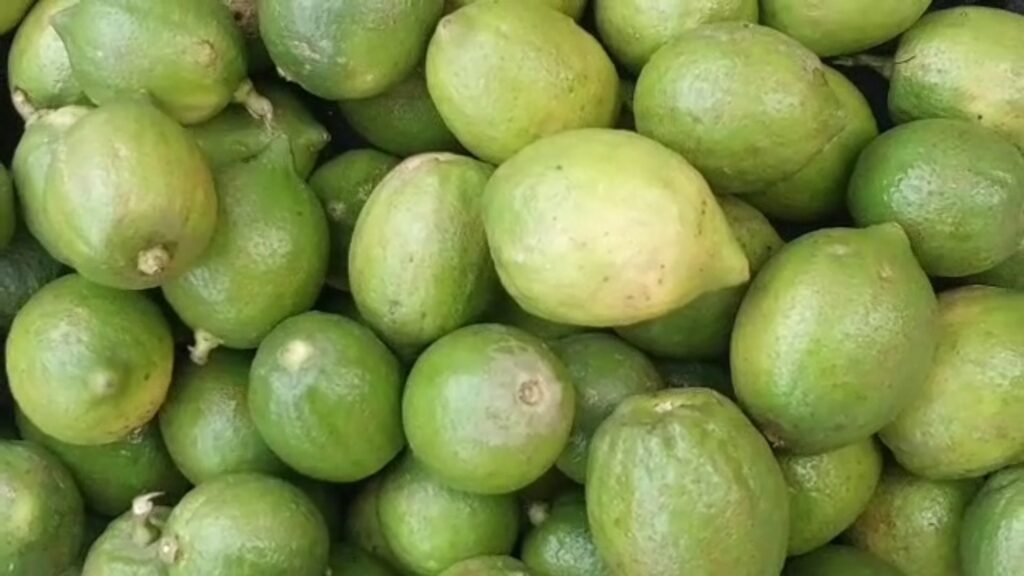 Lemon the king of relief in summer! Know its properties