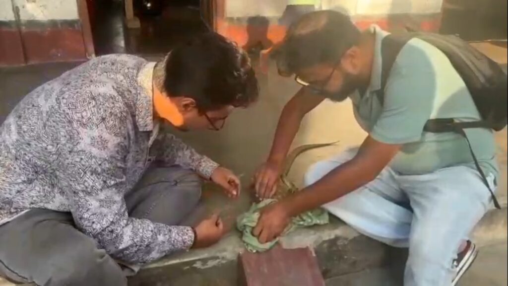 Spore rescues a cow snake trapped in a net; awareness about protecting wildlife in Kachua Boalmari