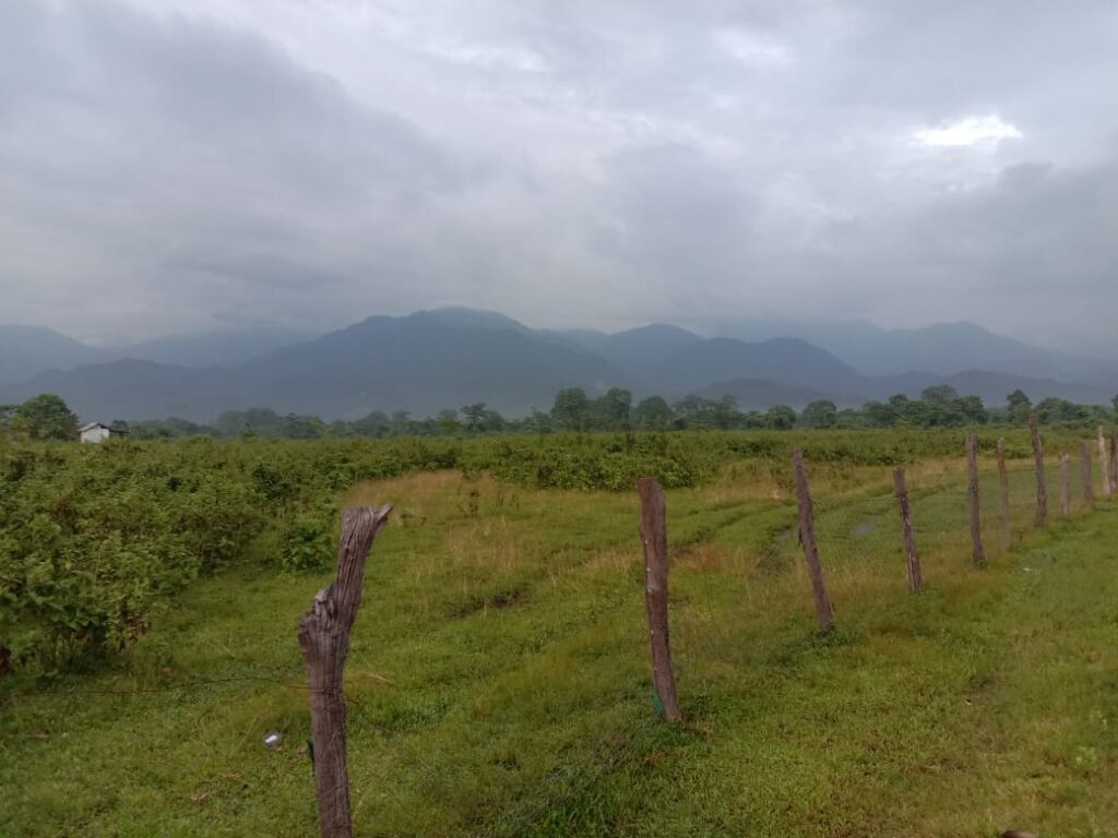 Let's take a tour: A few days in the new village 'Banchaya' on the banks of the Raimatang River in Dooars